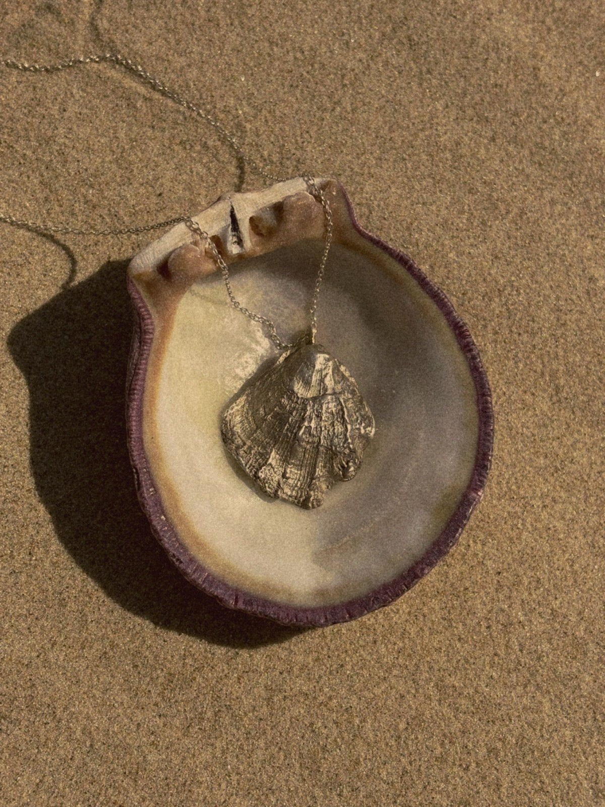 Scallop Shell necklace