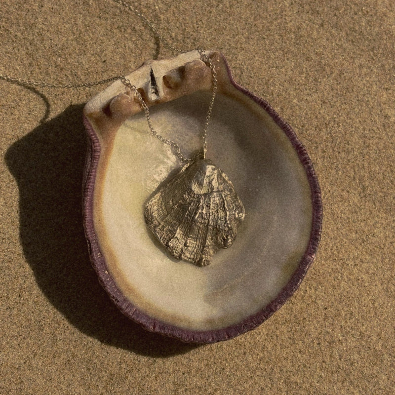Scallop Shell necklace