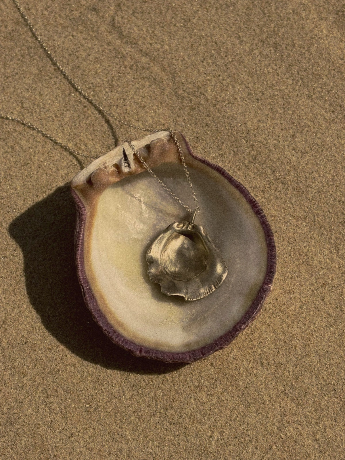 Scallop Shell necklace